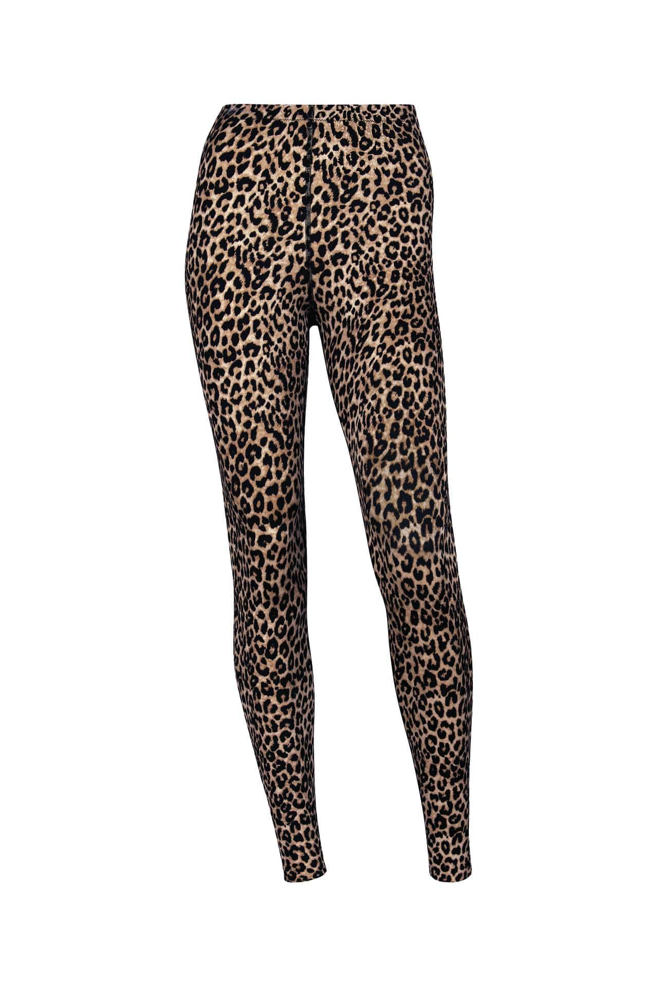 Sport Tights 1696 284 Kalahari - Image 2