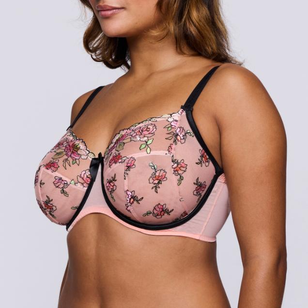 Eraclea Beugel Bh 0163560 Parfait - Image 2